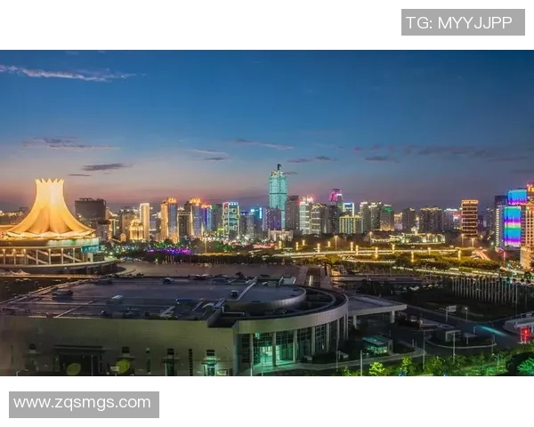 塞雷佐的魅力与挑战：探索这座城市的历史文化与未来发展潜力